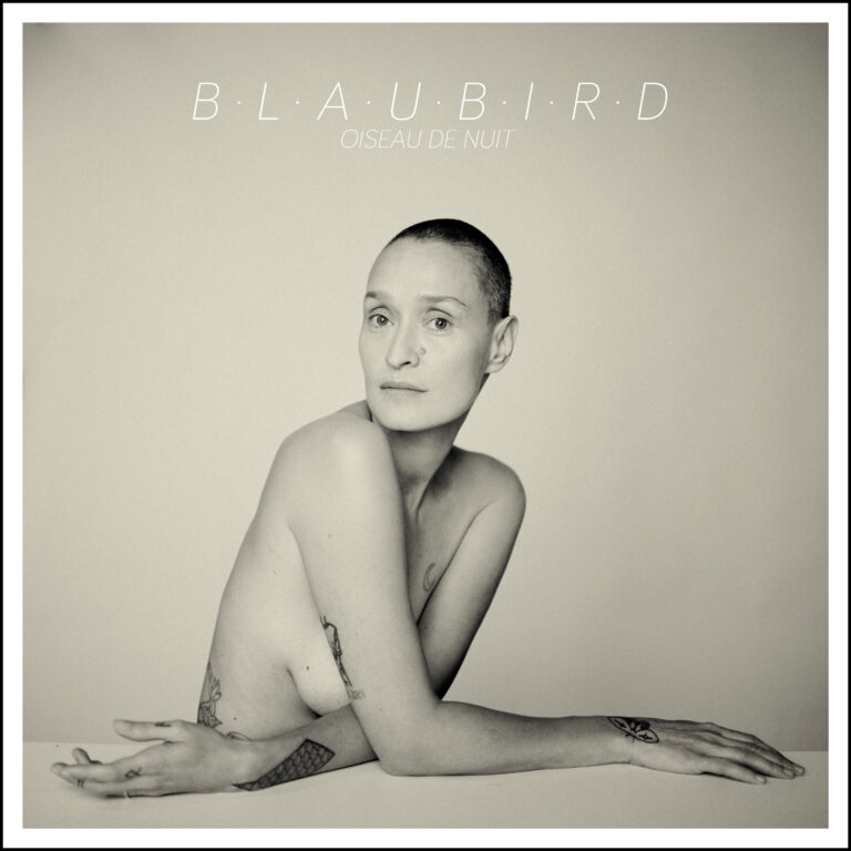 BLAUBIRD - Oiseau de nuit - Digital Single - Artwork by Pascal Blua - 2022