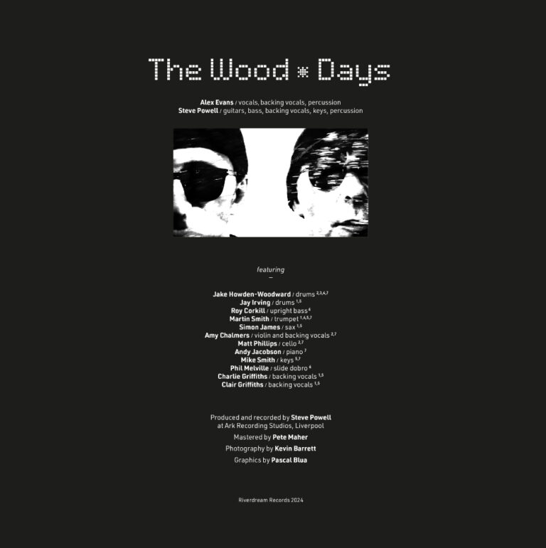 THE WOOD - Days - Album Artwork by Pascal Blua - 2023